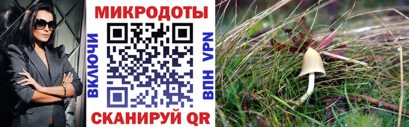 Псилоцибиновые грибы Magic Shrooms  Ужур 